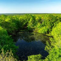 77 - Acres Pasture Woods Pond Driveway off Jackson 6 Bradford Arkansas images 4