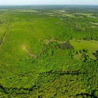 77 - Acres Pasture Woods Pond Driveway off Jackson 6 Bradford Arkansas images 5