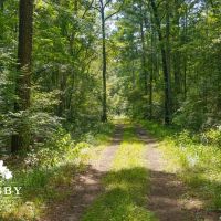 Oconee Hunt Club images 4