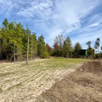 58 Ac Timber amp Hunting North FL images 2