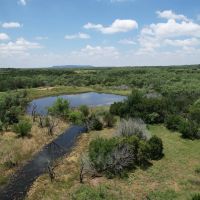 New Listing 16 - Acres Taylor County Tract 3