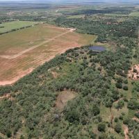 New Listing 16 - Acres Taylor County Tract 3 images 4