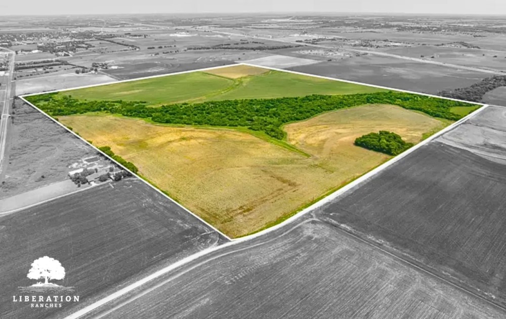 Itasca Tract 4 13 Acres Only 15K Down featured image