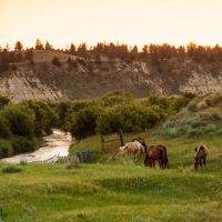 The OW Ranch images 4
