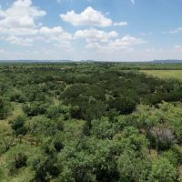 New Listing 14.5 Acres Taylor County Tract 6