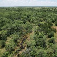 New Listing 14.5 Acres Taylor County Tract 6 images 2