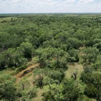New Listing 14.5 Acres Taylor County Tract 6 images 3