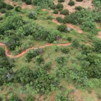 New Listing 14.5 Acres Taylor County Tract 6 images 5