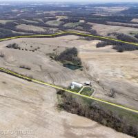Picturesque 123 Pike County Tillable Farm images 3