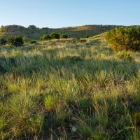 Wined Down Ranch images 3