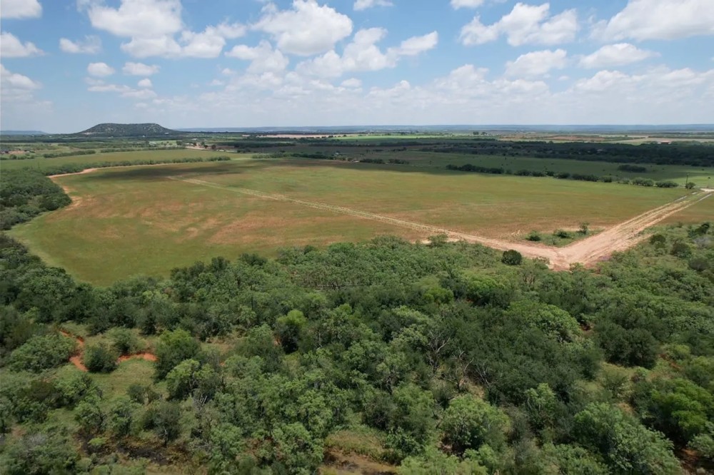 New Listing 16 - Acres Taylor County Tract 2 featured image
