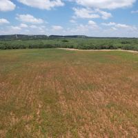 New Listing 16 - Acres Taylor County Tract 2 images 2