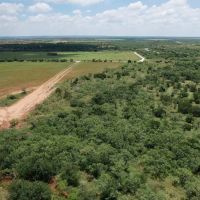 New Listing 16 - Acres Taylor County Tract 2 images 4