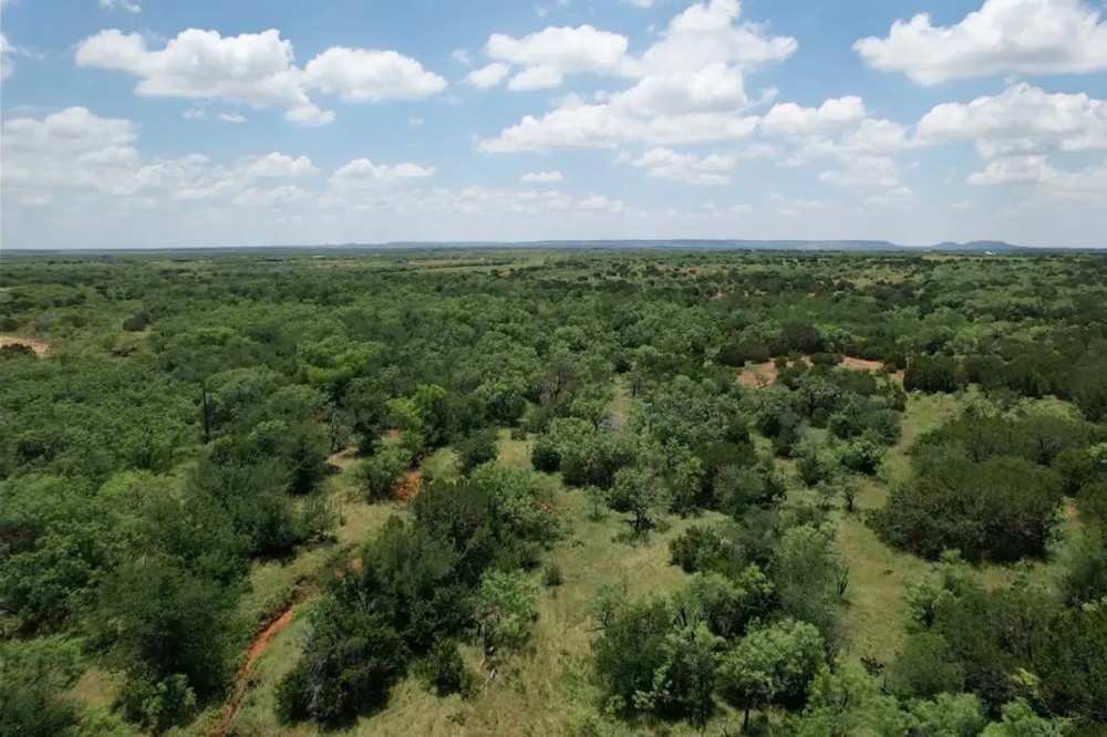New Listing 14.5 Acres Taylor County Tract 7 featured image