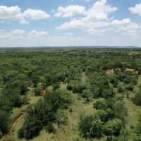 New Listing 14.5 Acres Taylor County Tract 7