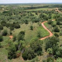 New Listing 14.5 Acres Taylor County Tract 7 images 4