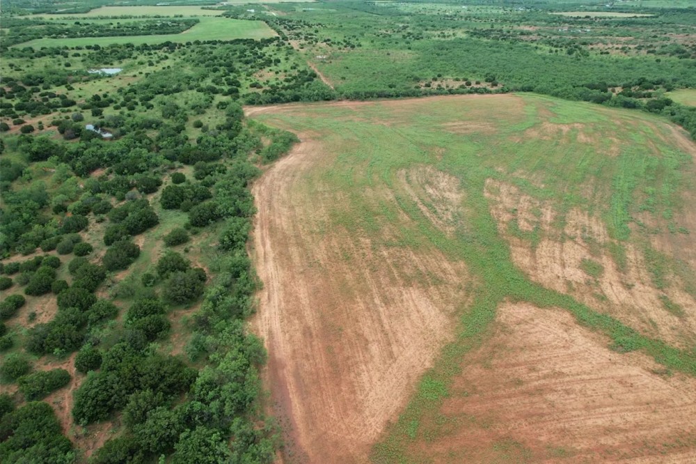 New Listing 15 - Acres Taylor County Tract 4 featured image