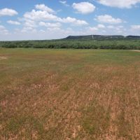 New Listing 15 - Acres Taylor County Tract 4 images 4