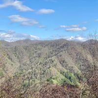 288 - Gorgeous Acres in Madison County images 2
