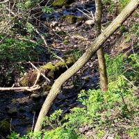 288 - Gorgeous Acres in Madison County images 5