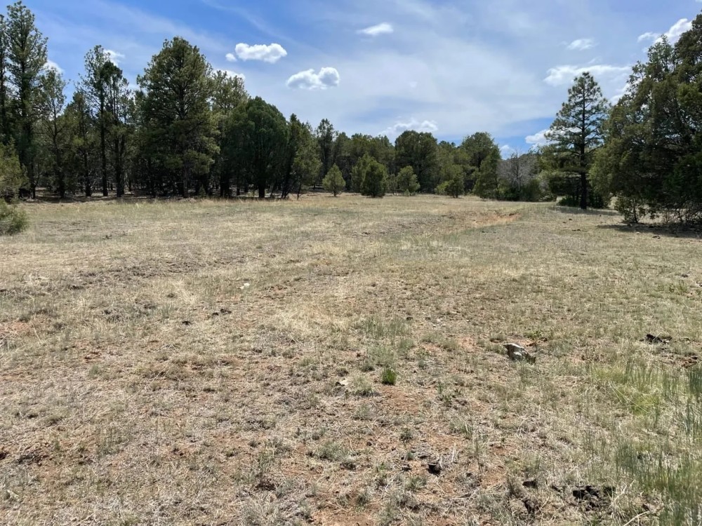 Ruidoso Ridge 40 featured image