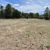 Ruidoso Ridge 40 images 2
