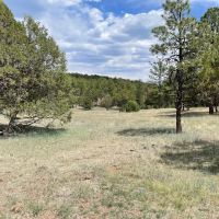 Ruidoso Ridge 40 images 3