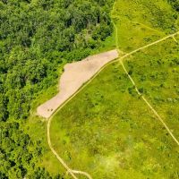 Land For Sale - 42 acres - Angola Indiana images 5
