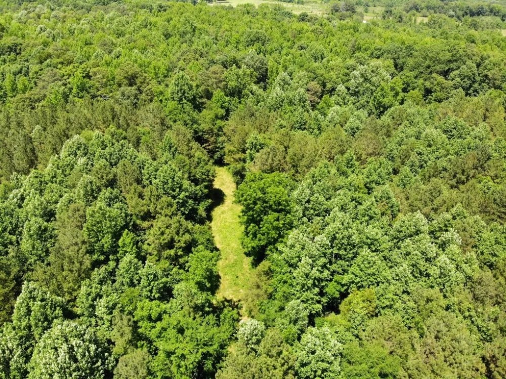 08-050-woods-road-50 featured image