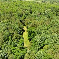 08-050-woods-road-50
