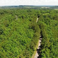 08-050-woods-road-50 images 2