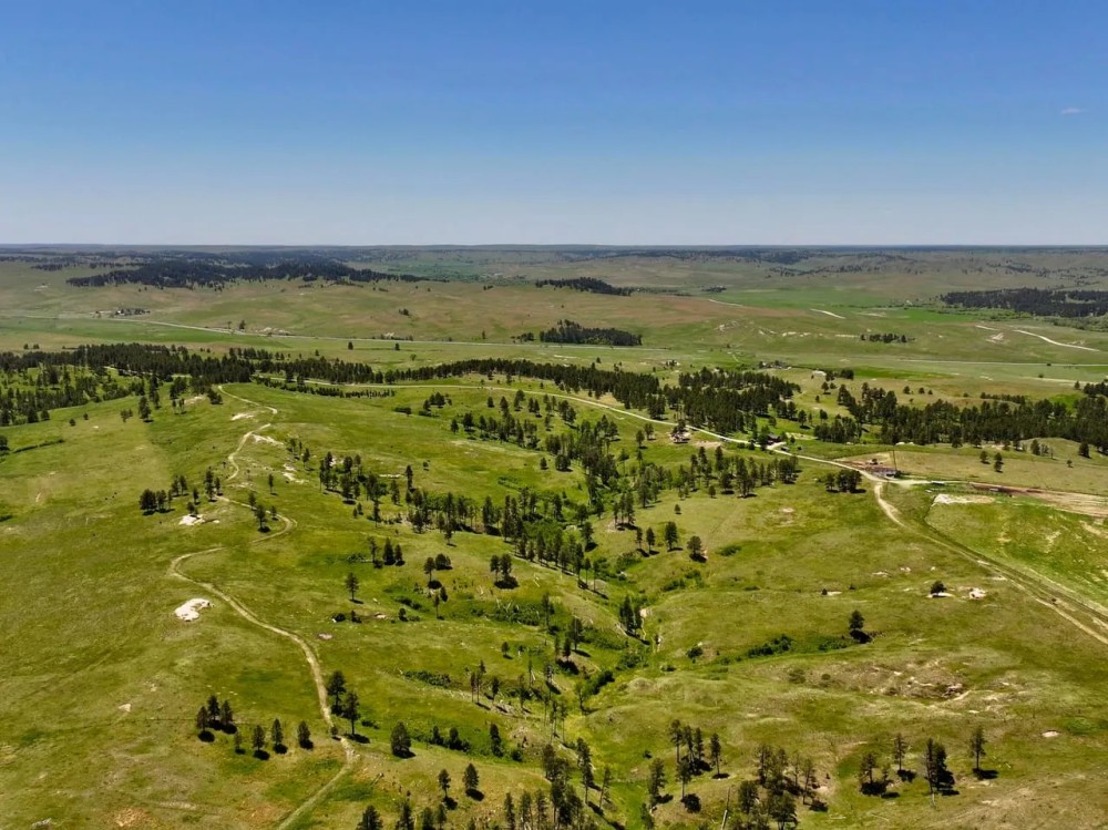 Grossman Ranch featured image