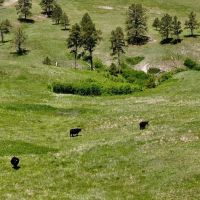 Grossman Ranch images 3