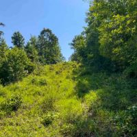 TK Ridge Ranch North images 4