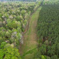 LA - Caldwell 80 acres - images 3