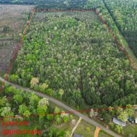 LA - Caldwell 80 acres - images 4