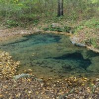 Blue Spring WMA - 24,783 acres hunting tract for Turkey & Duck in Covington, AL