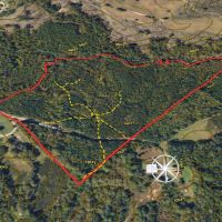 33.51 acre Multi-use Tract For Sale in Caswell County NC images 3