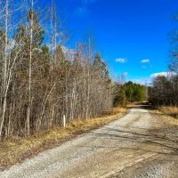 33.51 acre Multi-use Tract For Sale in Caswell County NC images 5