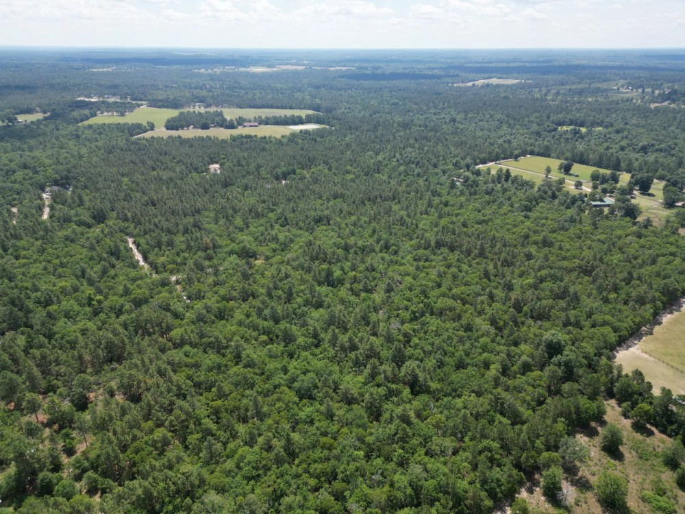 Windsor SC 34 Acres featured image