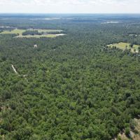 Windsor SC 34 Acres