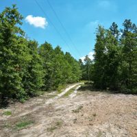 Windsor SC 34 Acres images 2