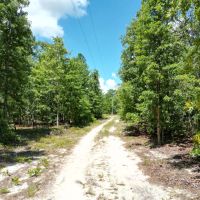 Windsor SC 34 Acres images 3