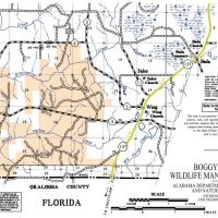 Boggy Hollow - 7,000 acres for hunting Turkey & Quail in south Alabama images 2