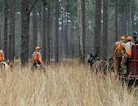 Boggy Hollow - 7,000 acres for hunting Turkey & Quail in south Alabama