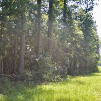 2.5 Acres of Land in the Country Mobile Homes OK images 2
