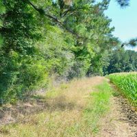 2.5 Acres of Land in the Country Mobile Homes OK images 3