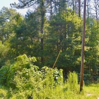 2.5 Acres of Land in the Country Mobile Homes OK images 4