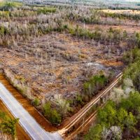 62 Ac Timber w Creek Jackson Co FL images 2