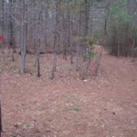 56,838 acres Choccolocco WMA for Turkey hunting in Alameda, AL